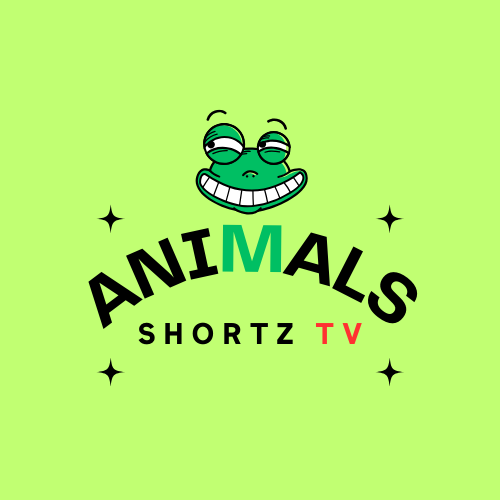 Animals Shortz Tv